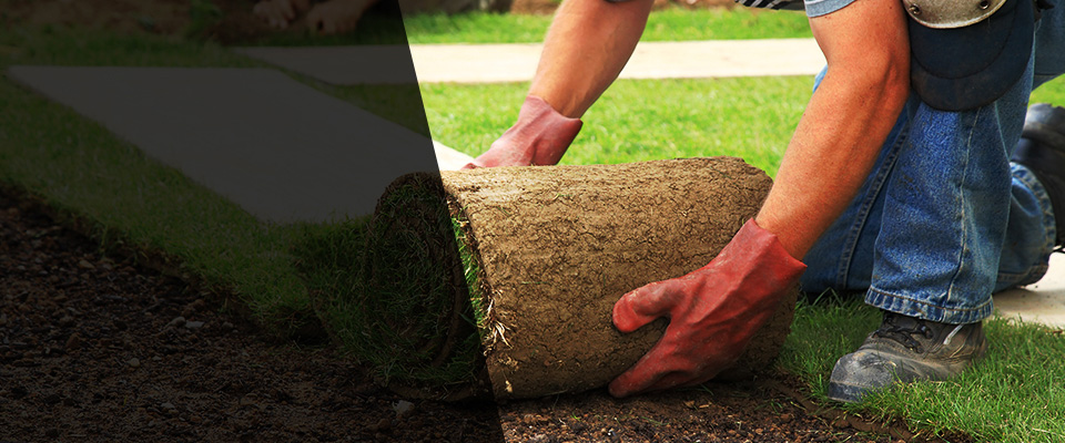 Howard Lake Landscapers